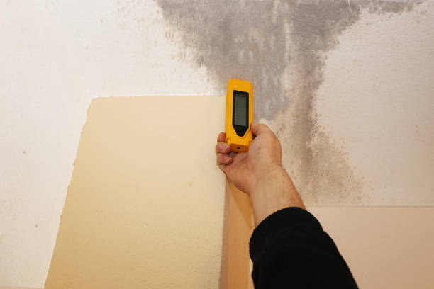 Best Air Quality Testing for Mold Spores  in Mountain Top, PA