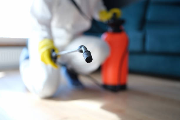 Best Emergency Mold Remediation  in Mountain Top, PA