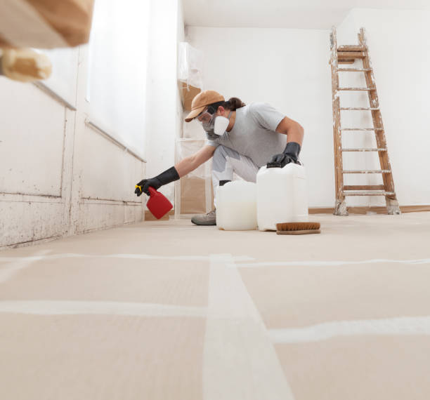Best Mold Removal for HVAC Installations  in Mountain Top, PA