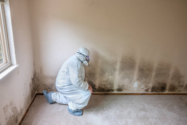 Best HVAC Mold Inspection and Cleaning  in Mountain Top, PA